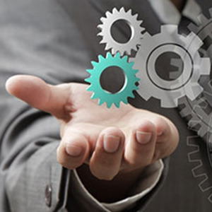 Management integrat